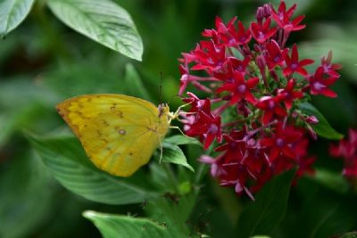 計(jì)劃到海南三亞玩4到5天，行程應(yīng)該怎么安排？需要多少錢(qián)？求詳細(xì)攻略，謝謝！